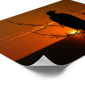 Eagle Poster (Hoek)