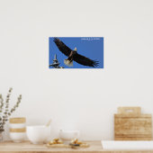 Eagle Poster (Keuken)