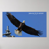 Eagle Poster (Voorkant)