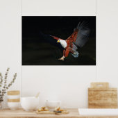 Eagle Poster (Keuken)