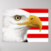 Eagle Poster (Voorkant)