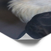 Eagle Poster (Hoek)