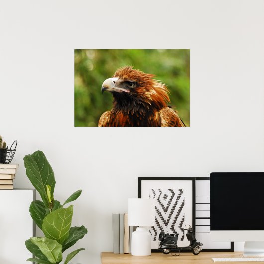 Eagle Poster (Thuiskantoor)
