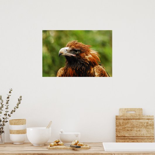 Eagle Poster (Keuken)