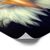 Eagle Poster (Hoek)