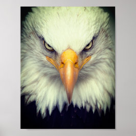 Eagle Poster