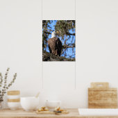 Eagle Poster (Keuken)