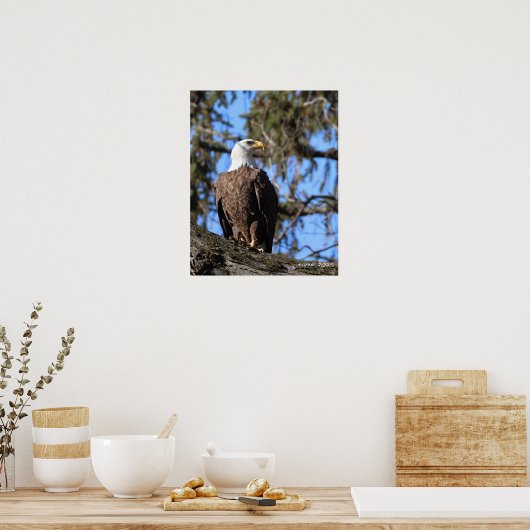 Eagle Poster (Keuken)