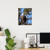 Eagle Poster (Thuiskantoor)