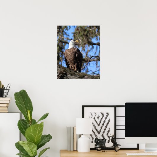 Eagle Poster (Thuiskantoor)