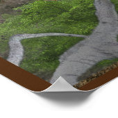 Eagle Posters (Hoek)