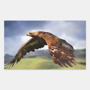 Eagle Rechthoekige Sticker