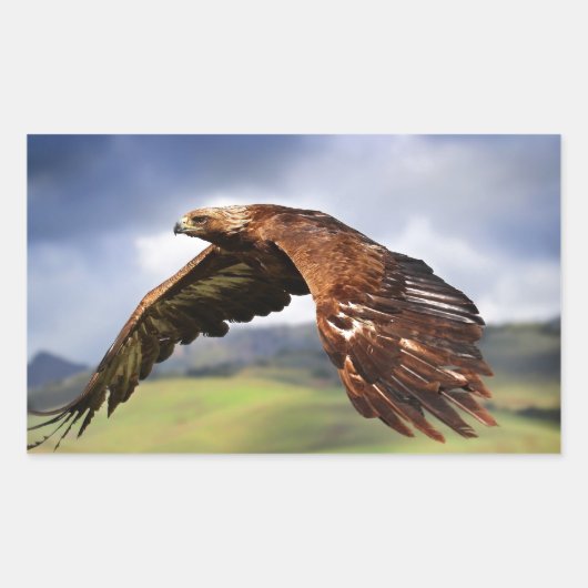 Eagle Rechthoekige Sticker (Voorkant)
