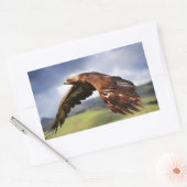 Eagle Rechthoekige Sticker (Envelop)