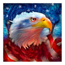 Eagle - Red White Blue Fine Art Poster/Print