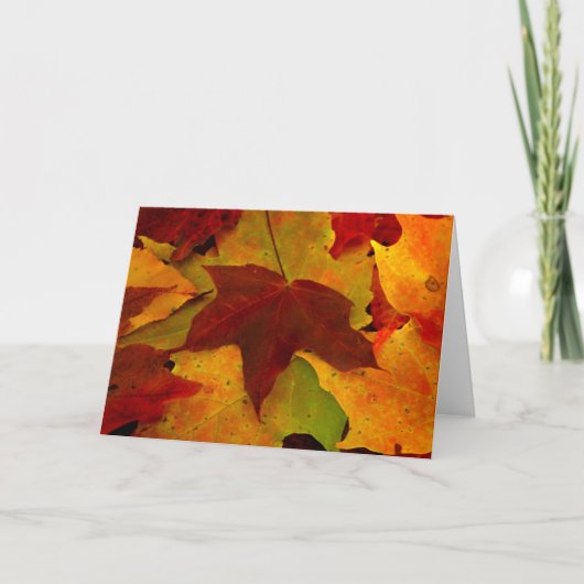 Eagle River Autumn Kaart (Voorkant)