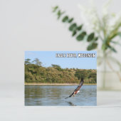 Eagle River, Briefkaart Wisconsin (Staand voorkant)