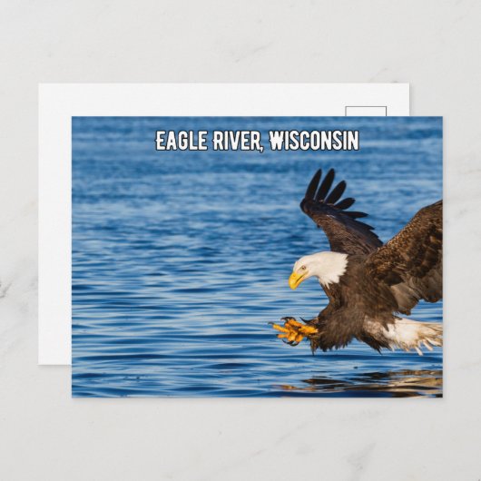 Eagle River Flying Eagle Wisconsin Briefkaart (Voorkant / Achterkant)