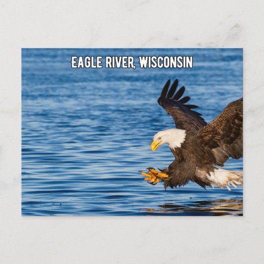 Eagle River Flying Eagle Wisconsin Briefkaart (Voorkant)