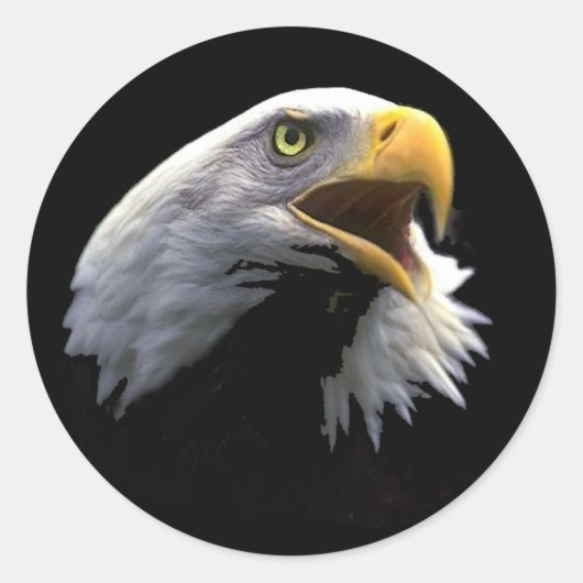 Eagle Ronde Sticker (Voorkant)