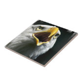 Eagle Screach Tile Tegeltje (Zijkant)