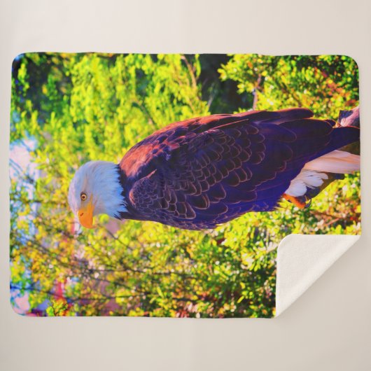 Eagle Sherpa Deken (Voorkant (horizontaal))