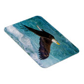 Eagle Soaring boven het Storm Magneet (Rechterzijde)