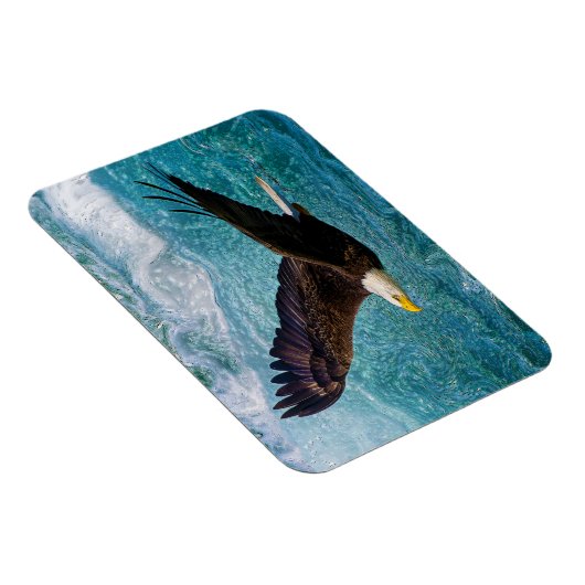 Eagle Soaring boven het Storm Magneet (Rechterzijde)