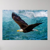 Eagle Soaring boven het Storm Poster (Voorkant)