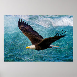 Eagle Soaring boven het Storm Poster
