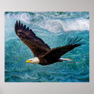 Eagle Soaring boven het Storm Poster