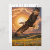 Eagle Soaring Sunset Briefkaart (Voorkant / Achterkant)