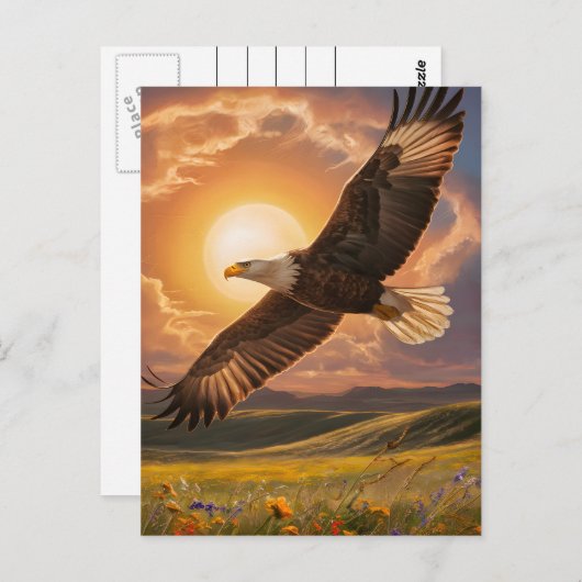 Eagle Soaring Sunset Briefkaart (Voorkant / Achterkant)
