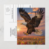 Eagle Soaring Sunset Briefkaart (Voorkant / Achterkant)
