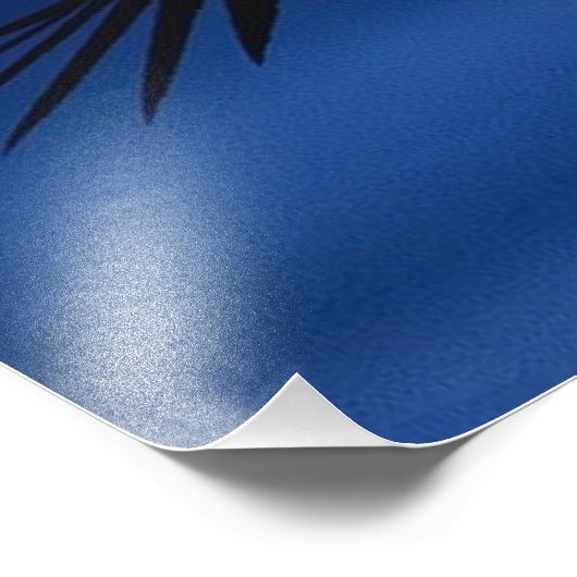 Eagle Soving High Foto Afdruk (Hoek)