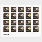 Eagle Stickers (Vel)