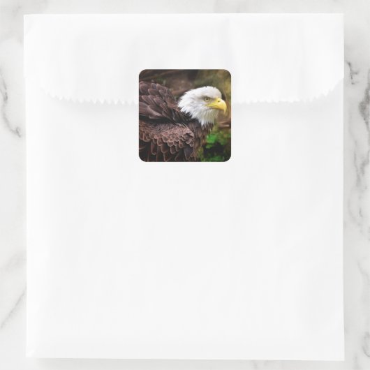 Eagle Stickers (Tas)