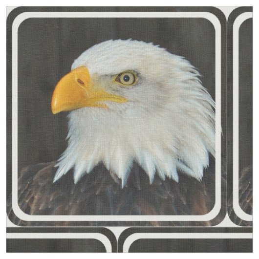 Eagle Stof (Close Up)