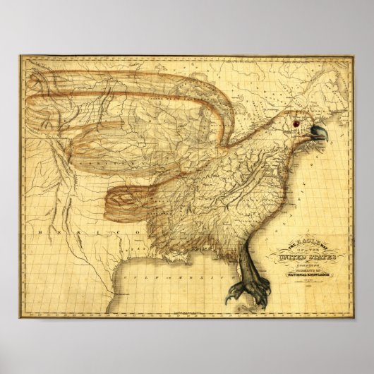 Eagle Superset aan de Verenigde Staten Poster (Voorkant)
