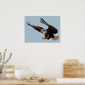 Eagle Swooping Down Poster (Keuken)