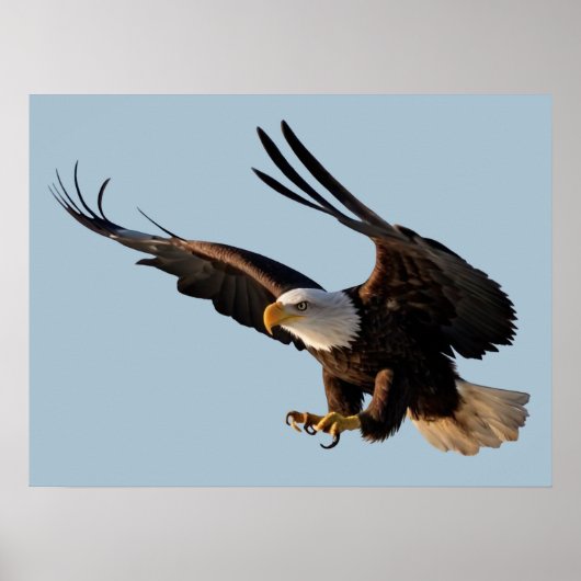 Eagle Swooping Down Poster (Voorkant)
