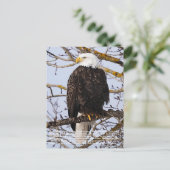 Eagle-symboliek Briefkaart (Staand voorkant)