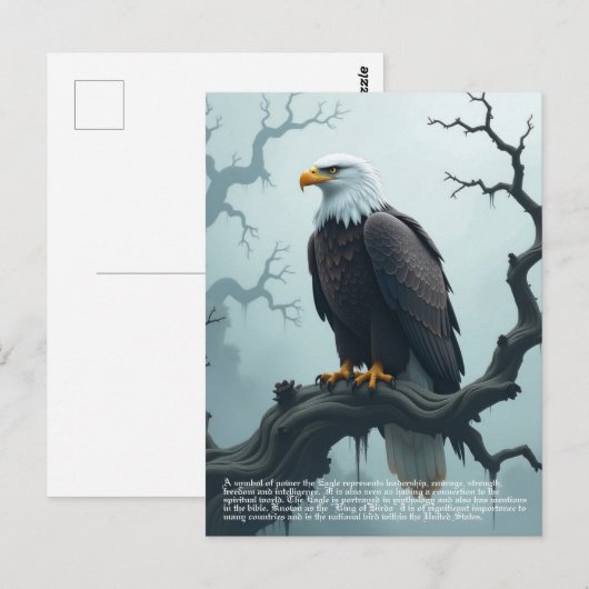 Eagle-symboliek Briefkaart (Voorkant / Achterkant)