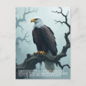 Eagle-symboliek Briefkaart (Voorkant)