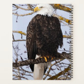 Eagle Symboliek Kalender Planner (Achterkant)