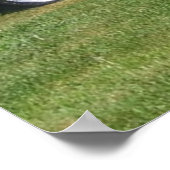 Eagle Talon Poster (Hoek)