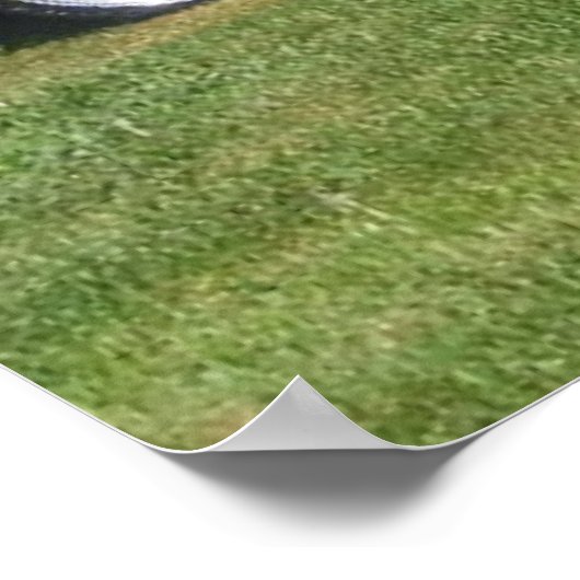 Eagle Talon Poster (Hoek)