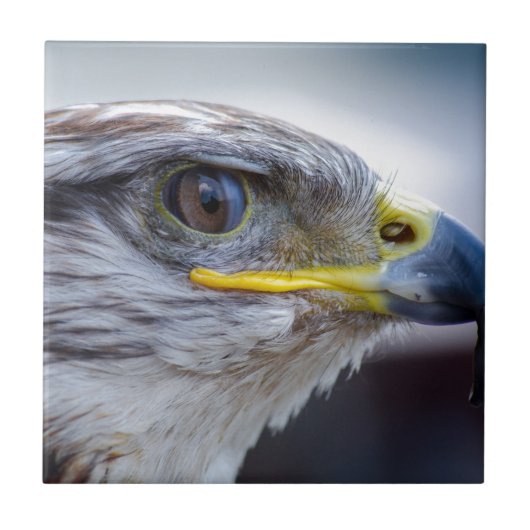 Eagle Tegeltje (Voorkant)