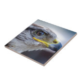 Eagle Tegeltje (Zijkant)