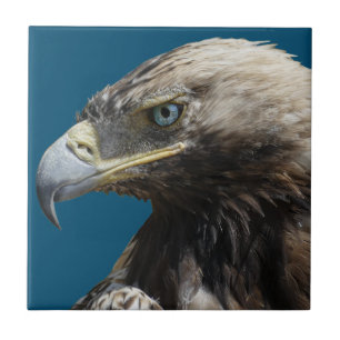 Eagle Tegeltje
